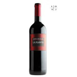 Finca Resalso 2015