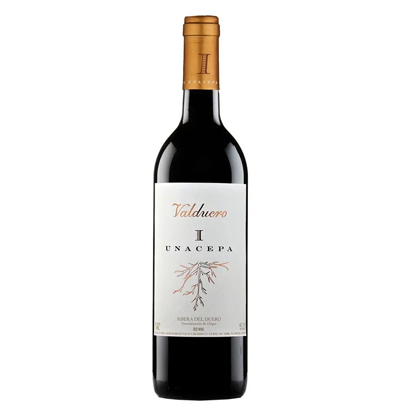 valduero-i-cepa-2016
