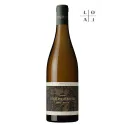 Botón de Gallo verdejo 2015