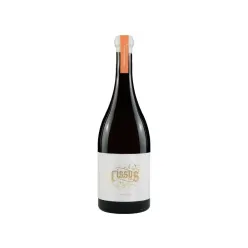 ANCHOAS RUEDA