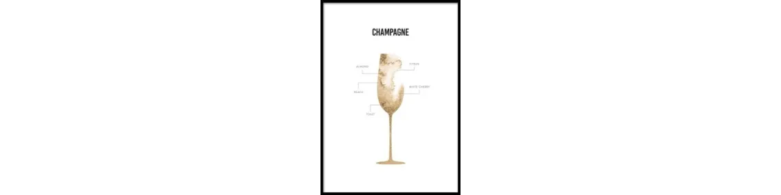 Comprar Vinos Franceses - Champagne | Tienda Online